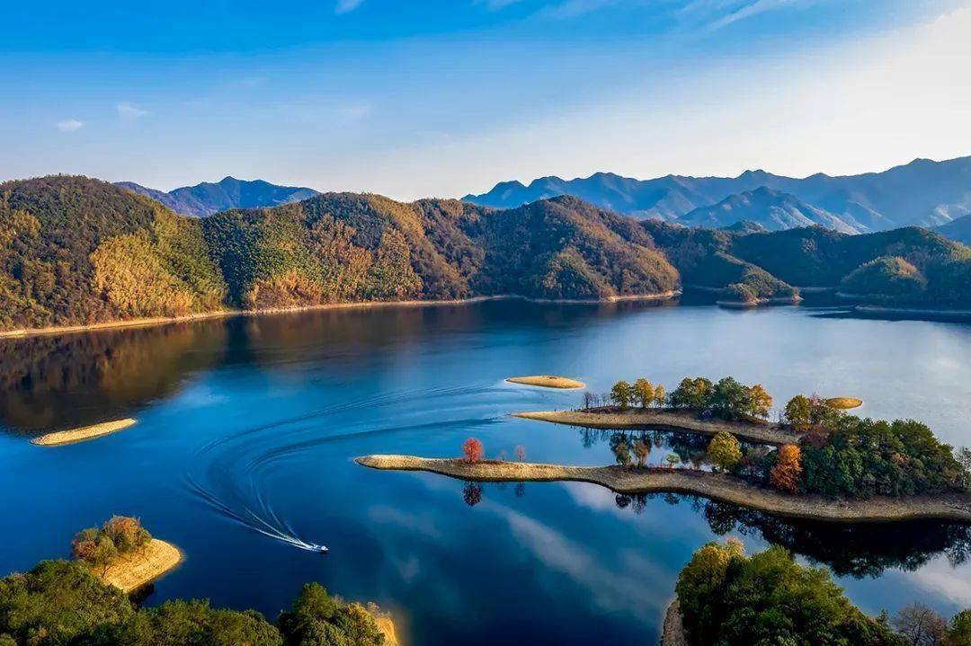 好山好水出好鱼让人吃不够的黄山太平湖有机鱼