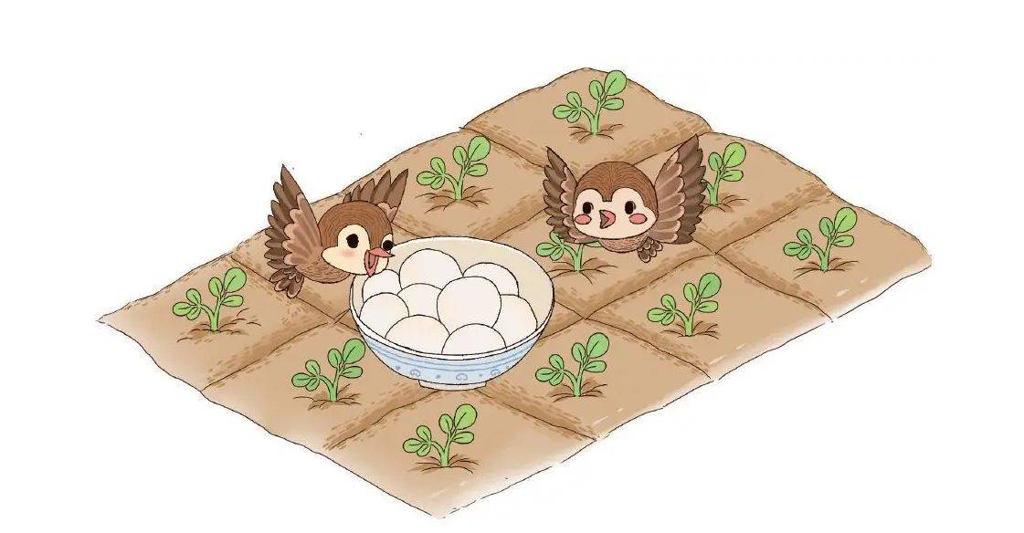 十多个或二三十个煮好,用细竹叉抜着置于室外田边地坎,名曰粘雀子嘴