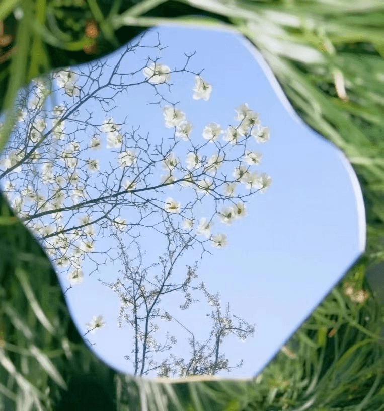 春花摄影爱好者春花拍摄“另类玩法”