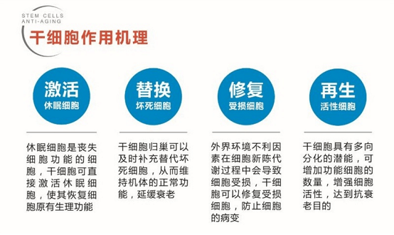 什么详述：脸上打干细胞会有什么后遗症吗、做干细胞抗衰美容的危害？