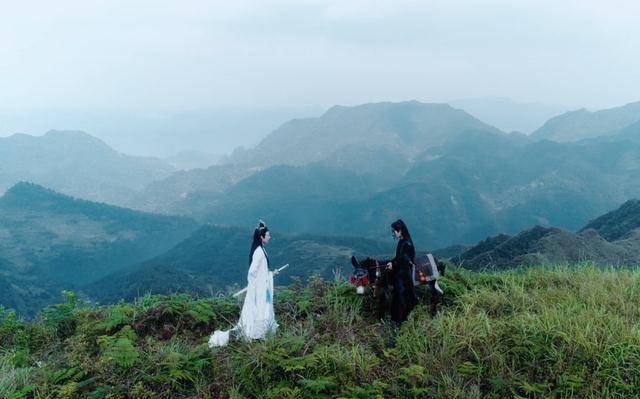 什么|陈情令：为何“一入陈情深似海”？除了忘羡情，还有对情节的着迷