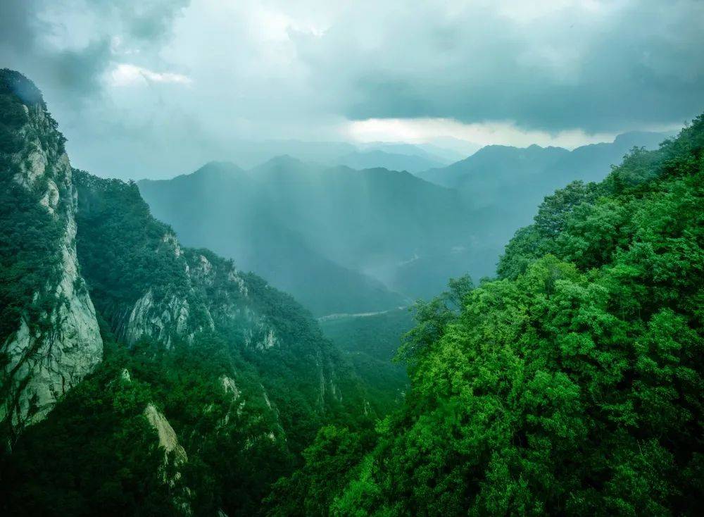 摄影:付锐都带着天然的清新和芬芳一呼一吸之间漫步于游步小道让人在