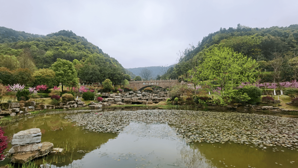 位于岳麓区的梅溪湖桃花岭公园是长沙市民最方便前往的赏桃胜地,园区