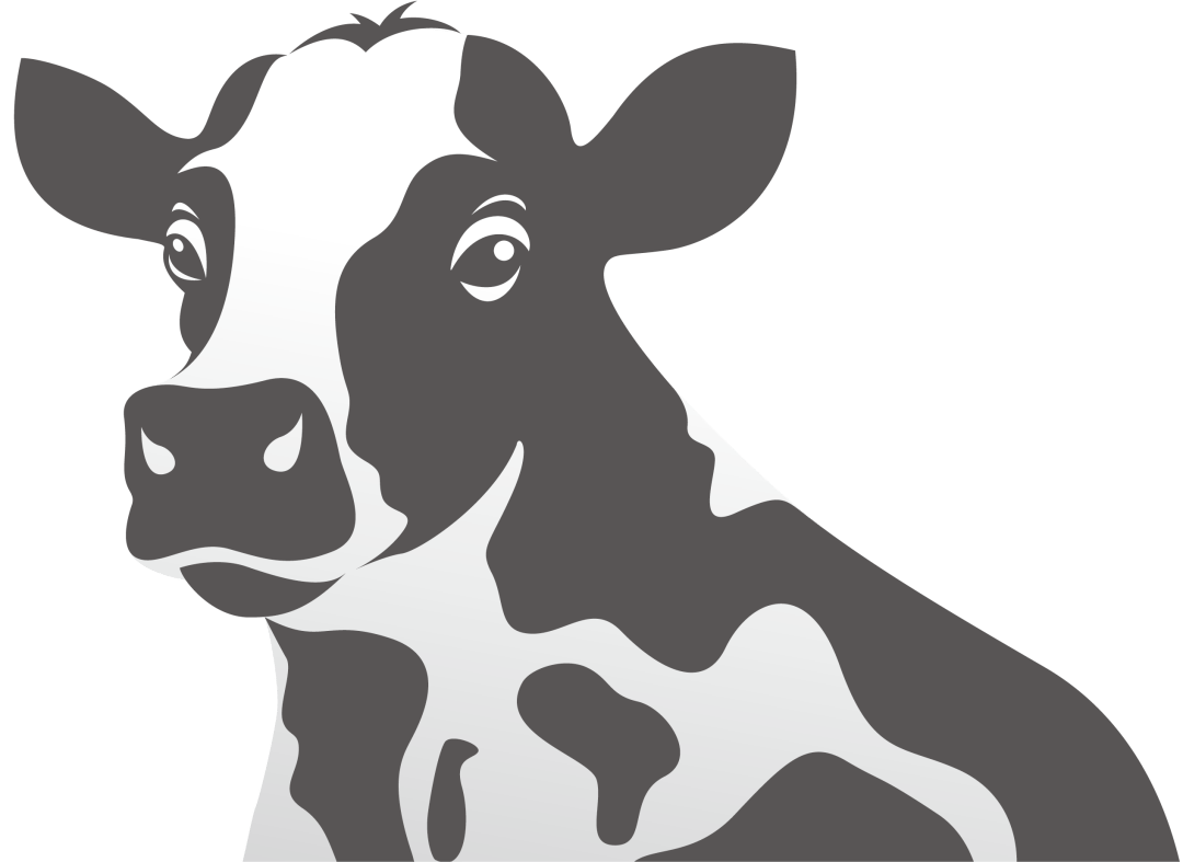 关于健荷集团品牌logo标识变更说明