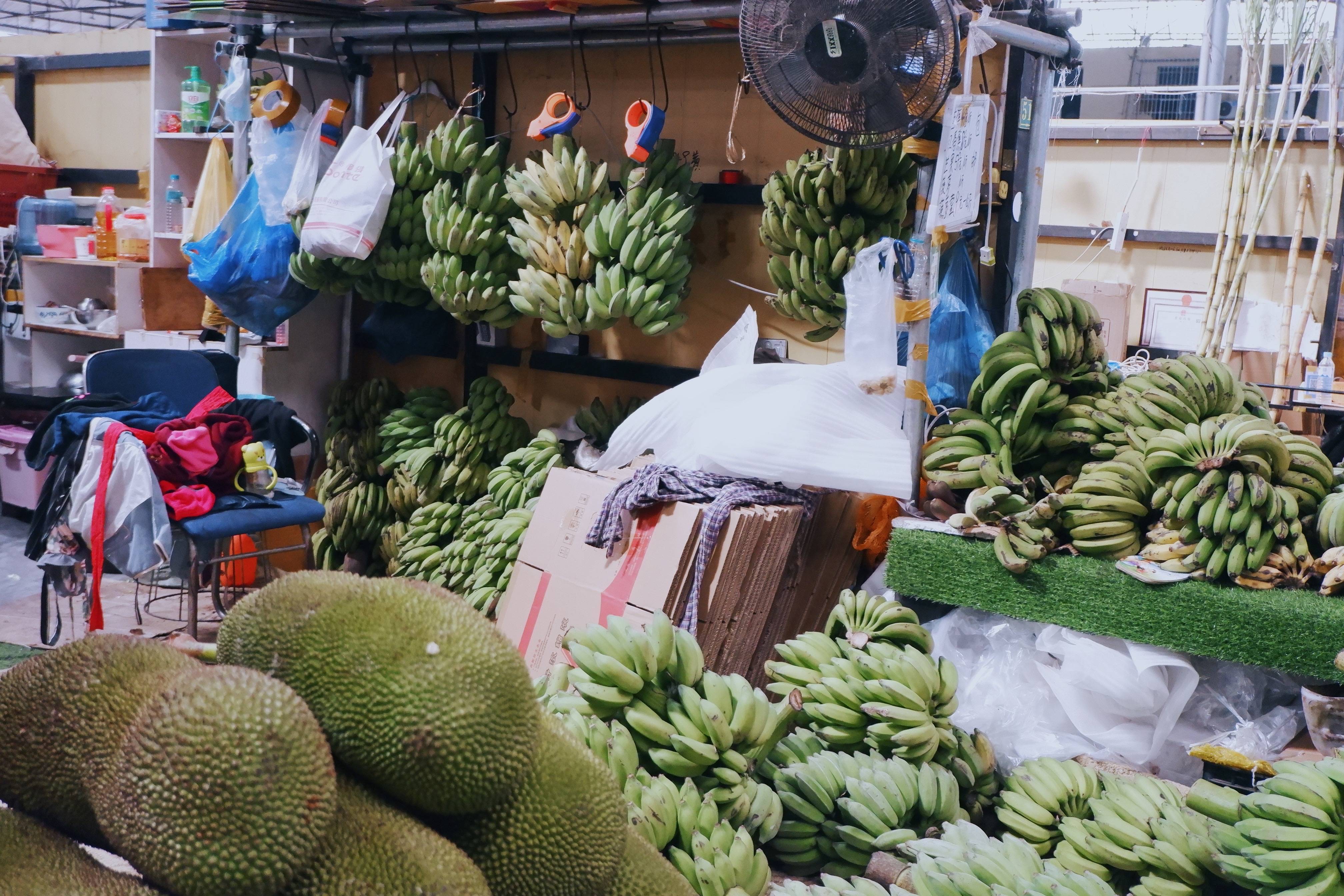 走进云南大型水果市场，太多奇怪水果，大部分都没见多