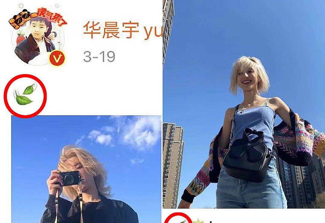 华晨宇结婚证照片图片