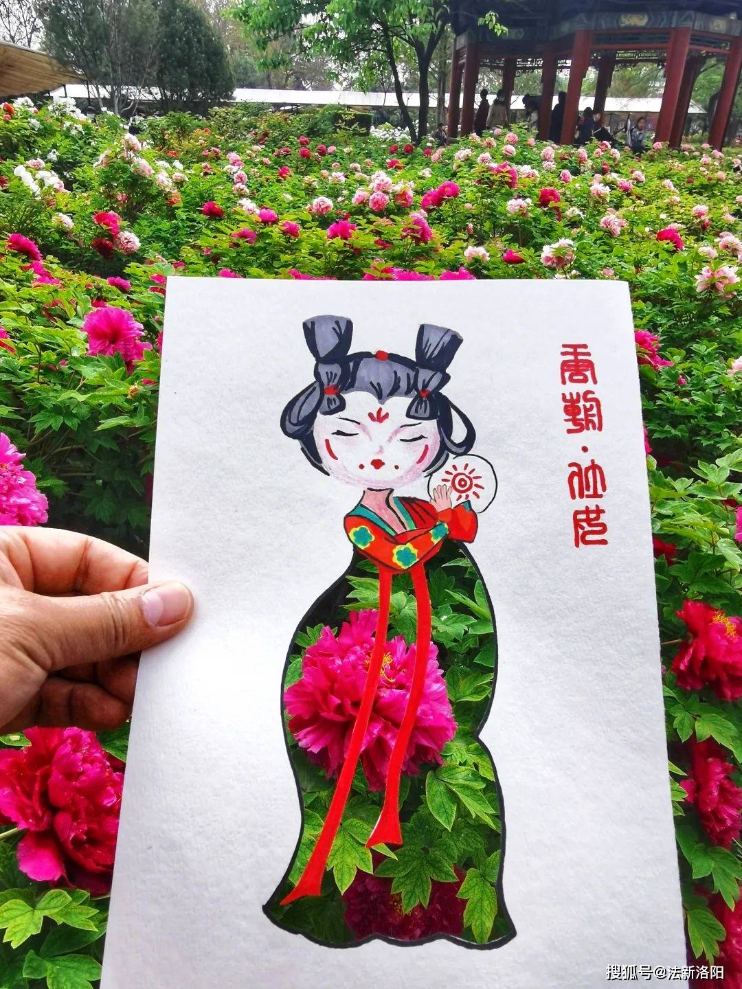 束春光把洛阳的春天穿在身上…太美了