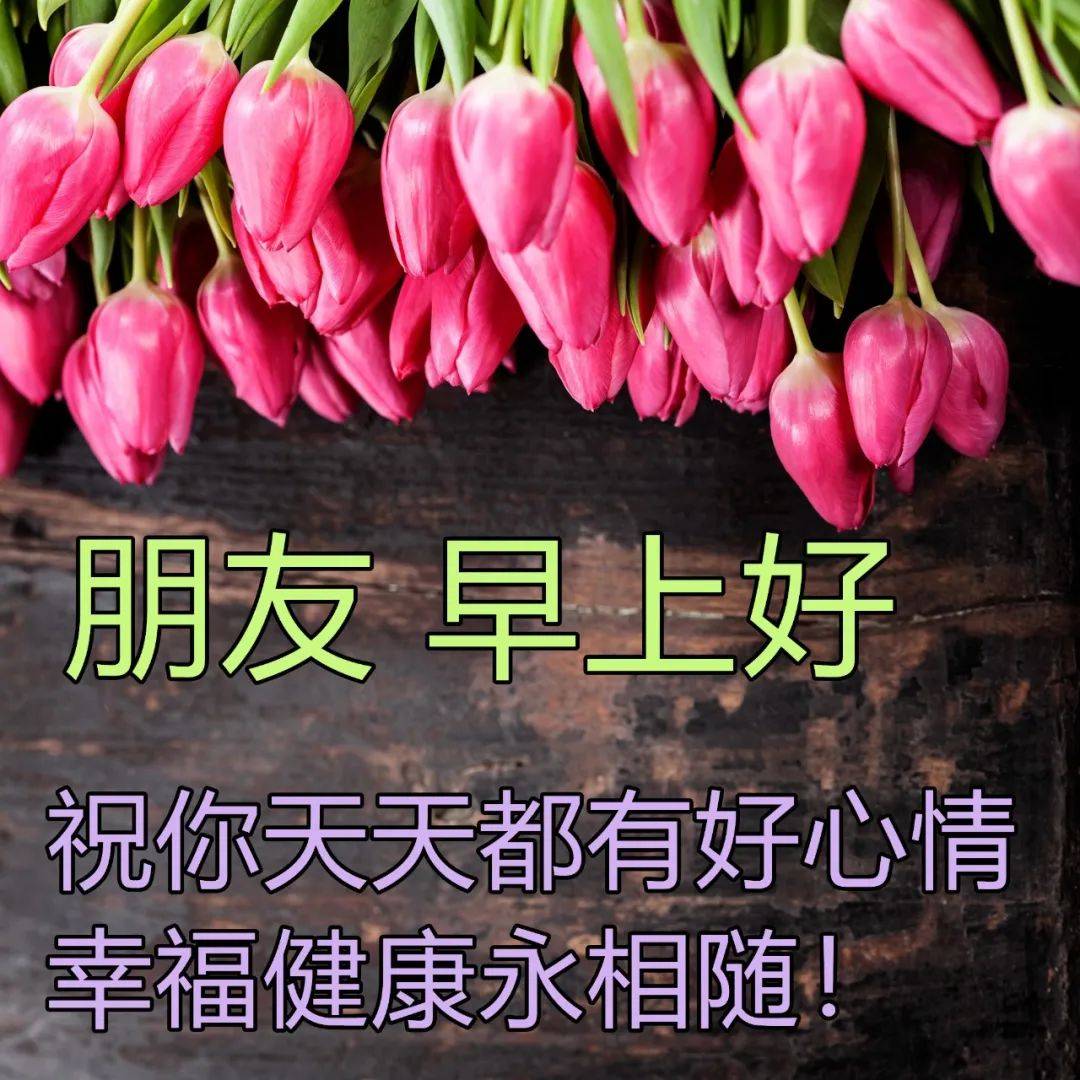 唯美漂亮的早上好祝福图片 早晨好问候图片大全_梦中_朋友_晨风