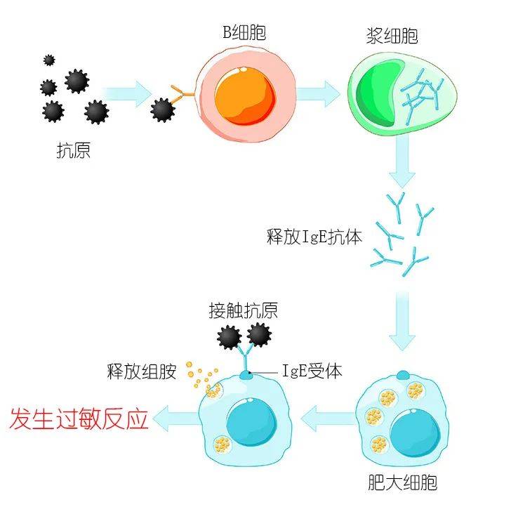 病毒"尸体"或者病毒的片段植入人体,刺激人体的免疫系统产生相应抗体