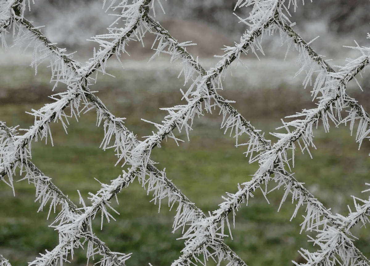 這種雪花在學術上被稱為