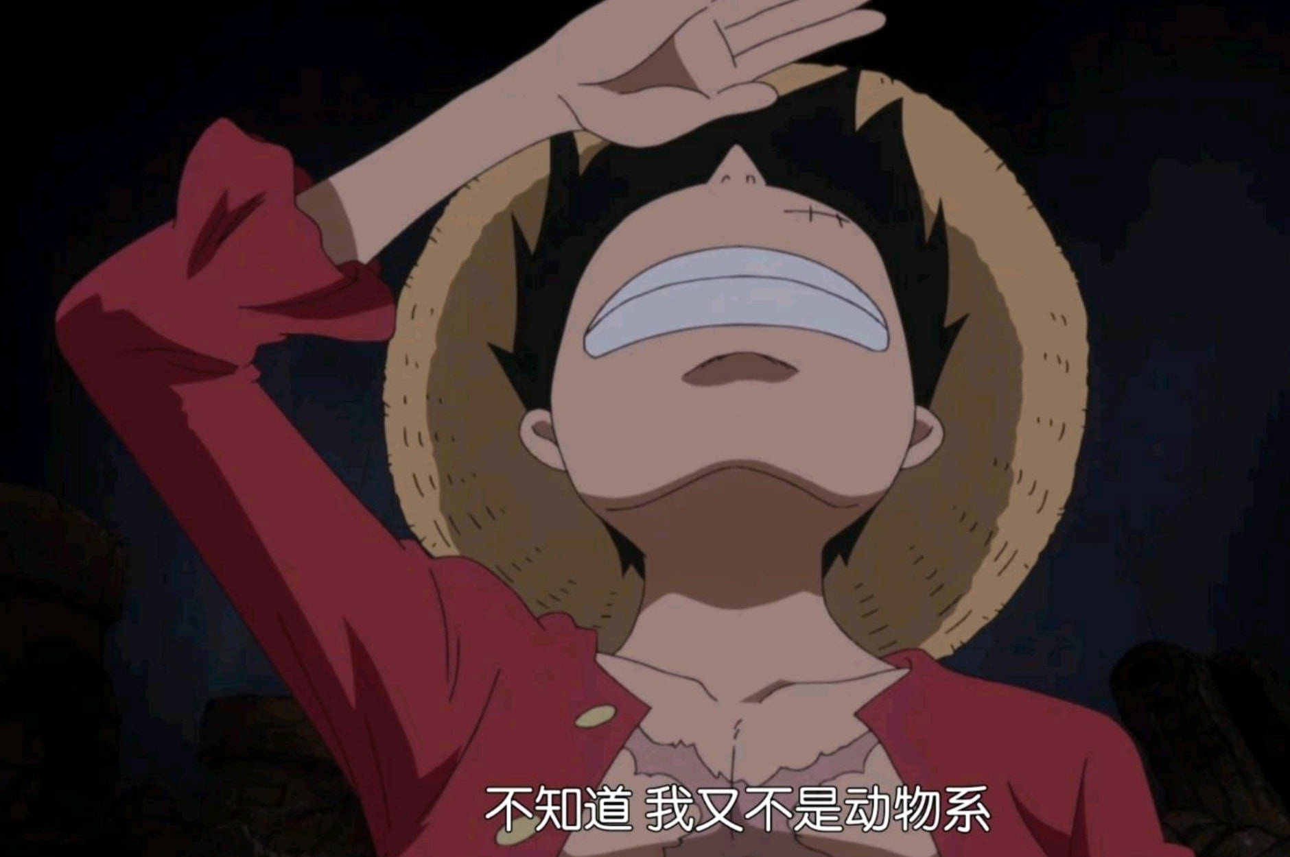 尾田又修改设定_路飞_人人果实_蜘蛛