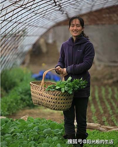 河北80后女子,靠"种地"年收入800万,她是如何做到的?