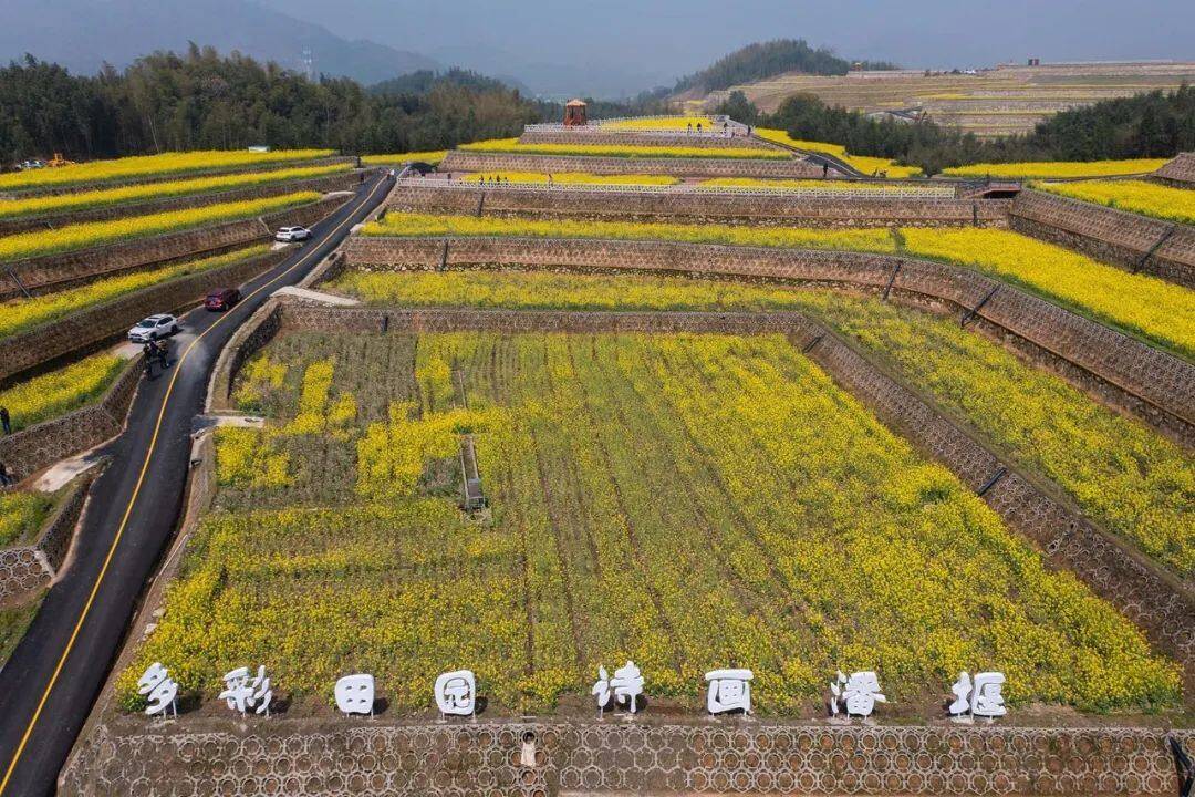 原创多彩田园诗画潘堰有千亩油菜花更有底蕴深厚的历史文化