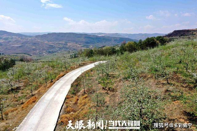 威宁雪山镇谢家村苹果花开育希望