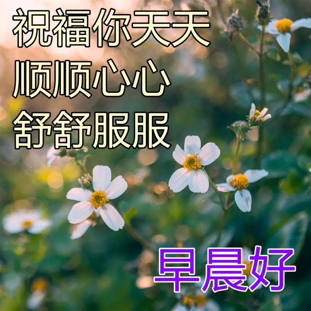 原創真摯的早安祝福文字圖片深深的早上好問候美圖