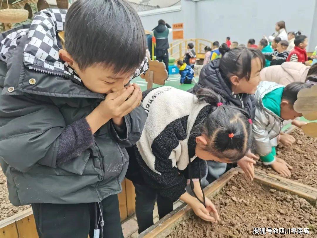 畅想春日播种希望洪雅县第二幼儿园大班组春耕春种主题活动