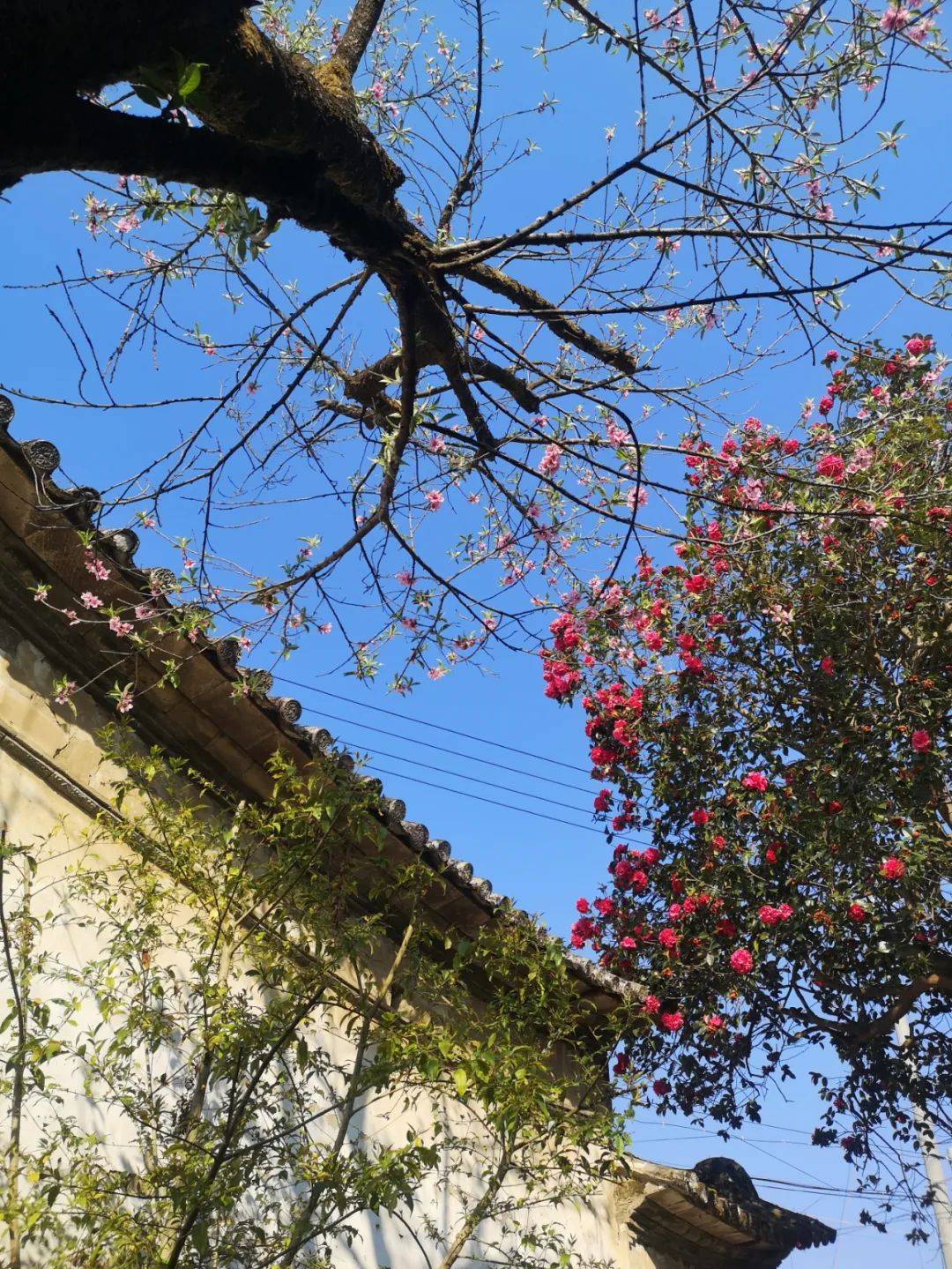 西董大院,青砖瓦舍间写满乡愁_古宅_董官村_门楼