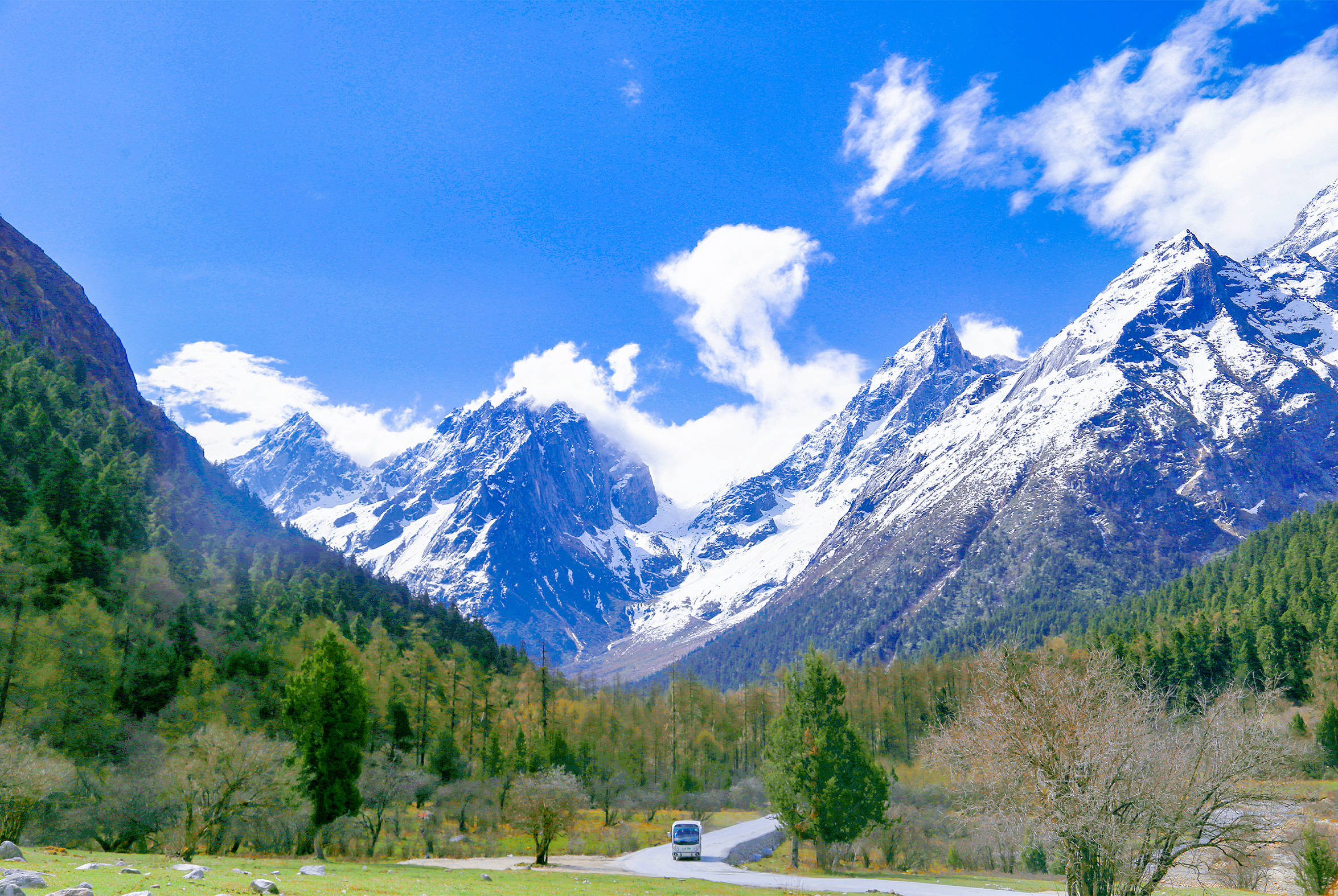 清明小长假去山野间寻春这里一半银装一半绿