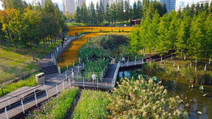 原创棕地景观设计案例needle景观案例分享第四十五期