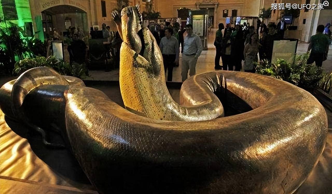 30米巨蛇骨架在谷歌地图都可见网友怀疑是泰坦蟒真相是什么