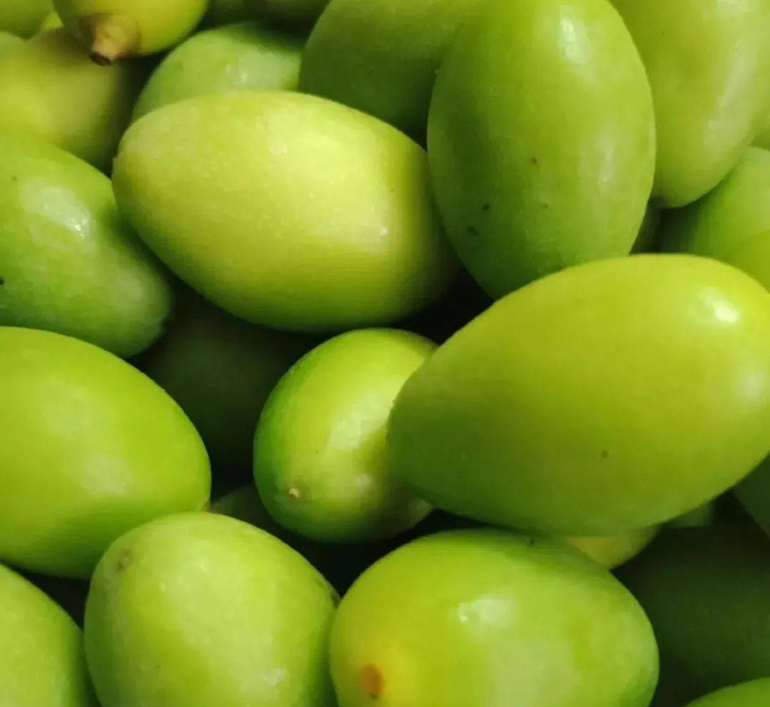 青果的功效与作用:清肺利咽,生津止渴,清热解毒_食用_猪肚_橄榄