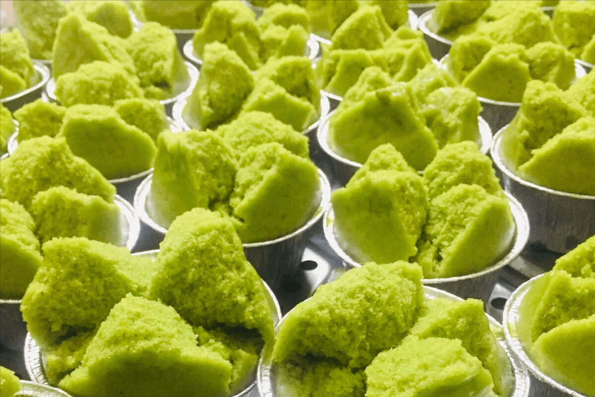 朴子_树叶_朴树