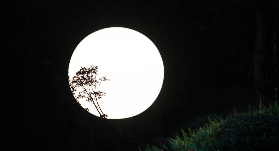 原创初唐时期的哪首诗能够压倒全唐被称为孤篇横绝春江花月夜