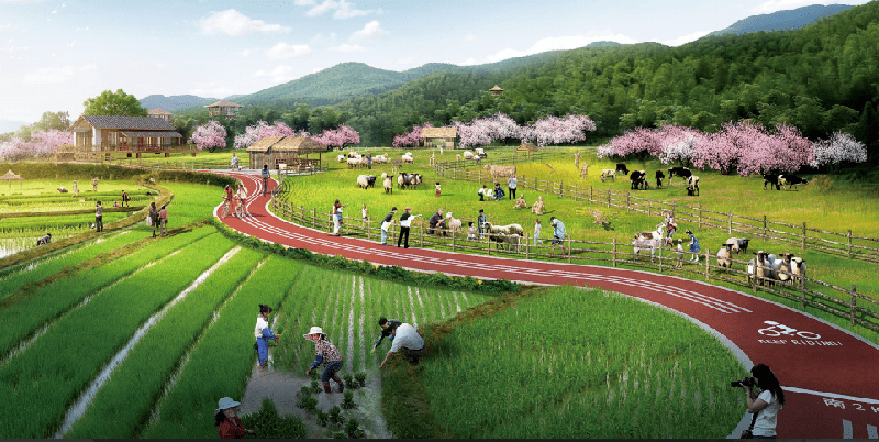 全景大运|500亩"油画",写在大地上的乡村振兴_田园_景观_书房村