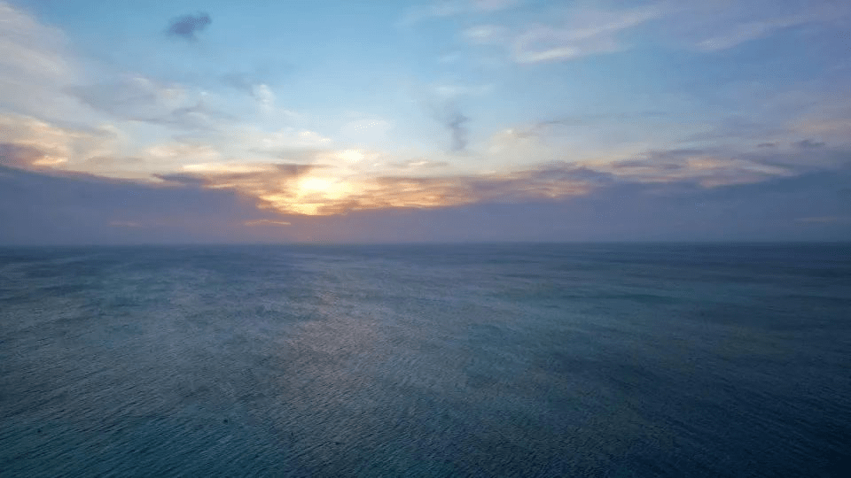 主业家电营收下滑,康佳集团2021年卖资产维生-家电圈官网