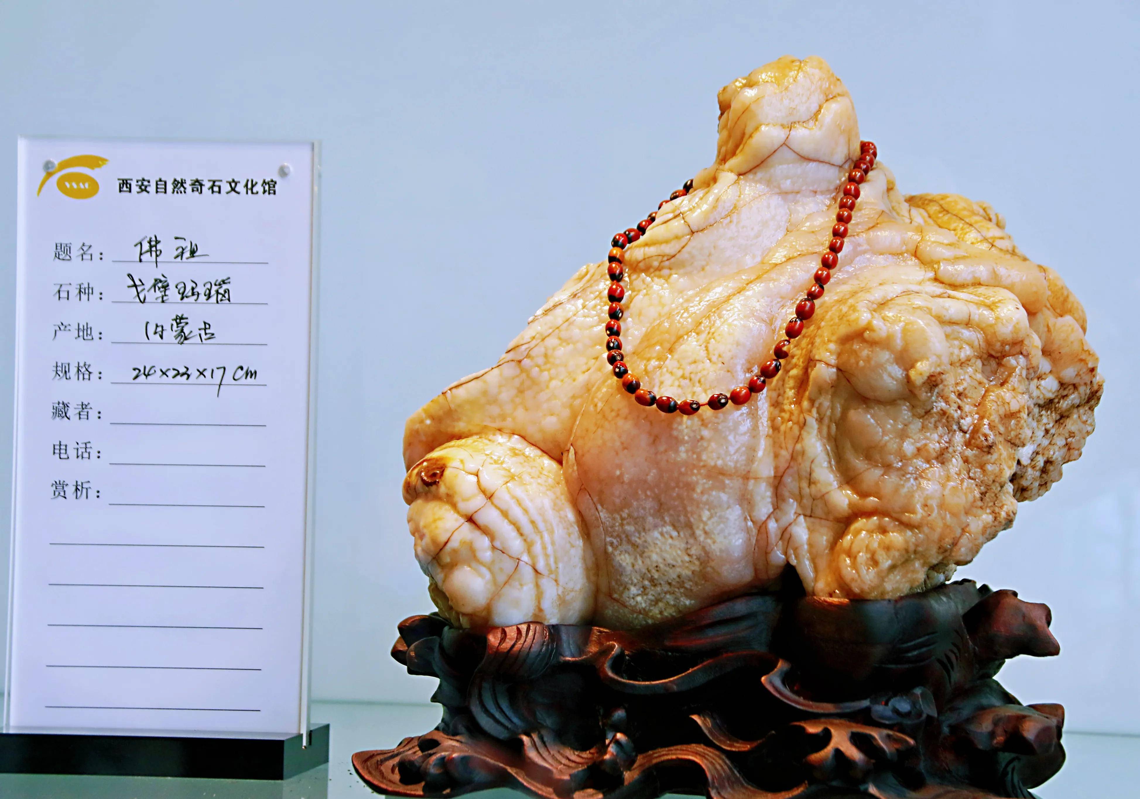 世博园再添文化新色自然奇石文化馆带您观奇石雅趣赏自然之美