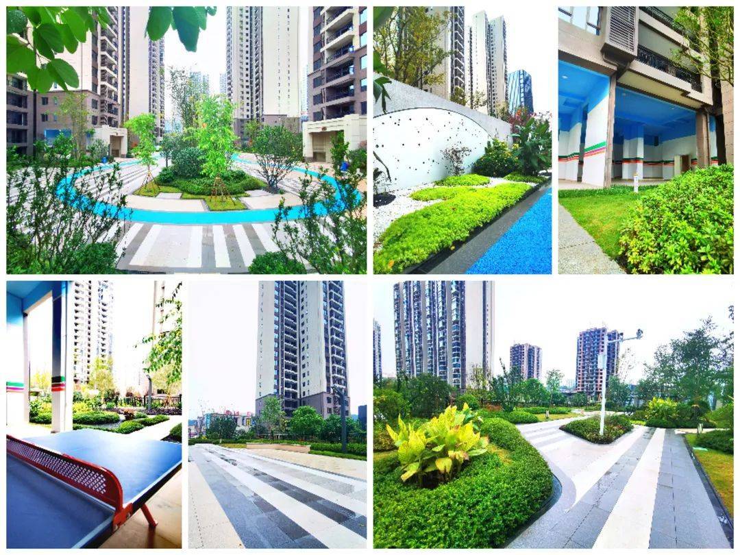 广元新楼盘碧桂园观江樾最新房价