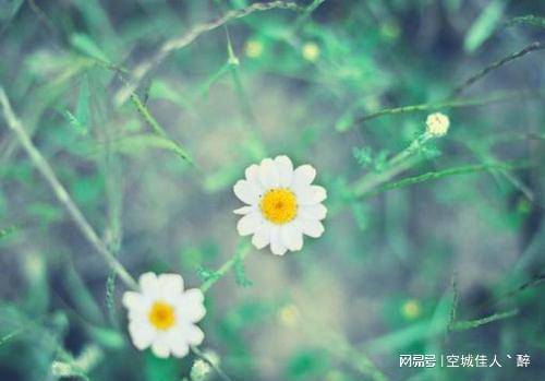一个人值不值得深交,就看这三点|深度好文