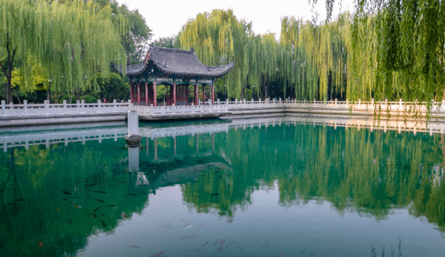 南京又一“绝美景区”走红，植被茂密景观众多，还有大量人文古迹