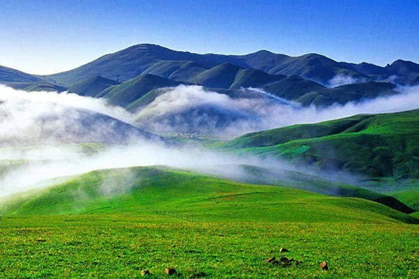 曲靖冷门草原，有东方新西兰之称，草原广阔云雾笼绕，人少名气小