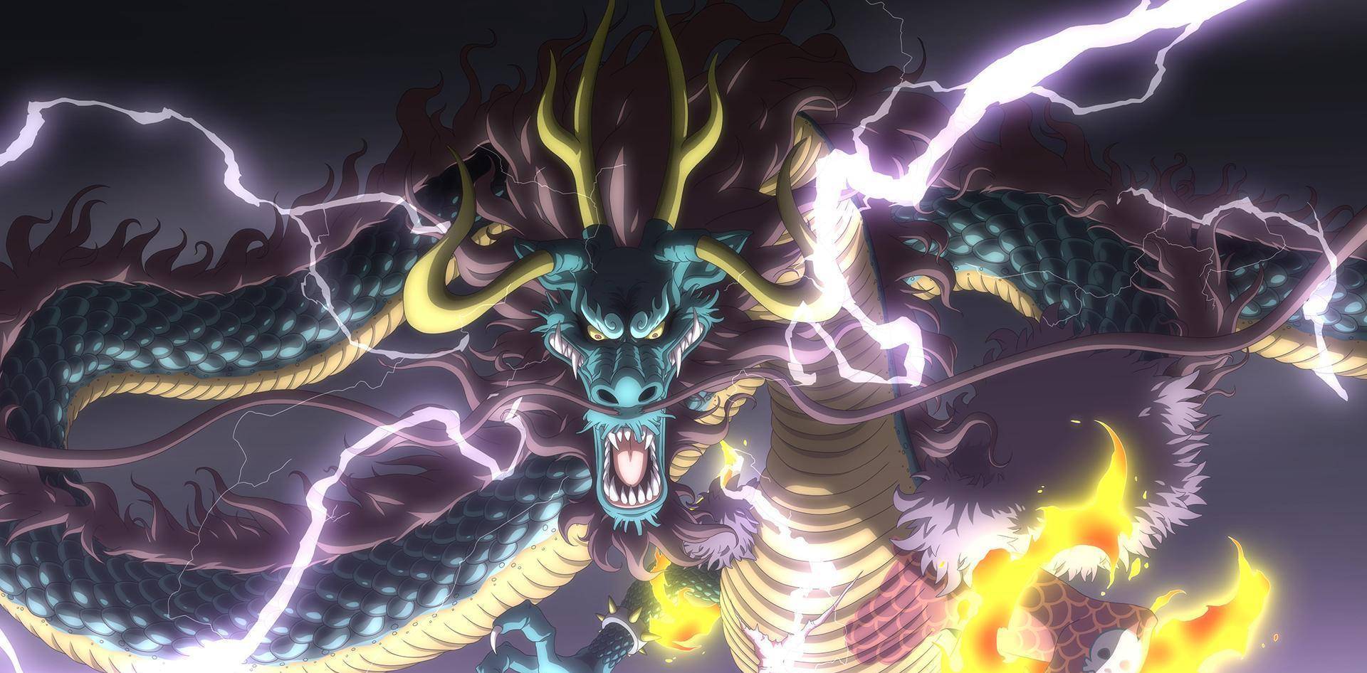 no.4【凯多——龙神】