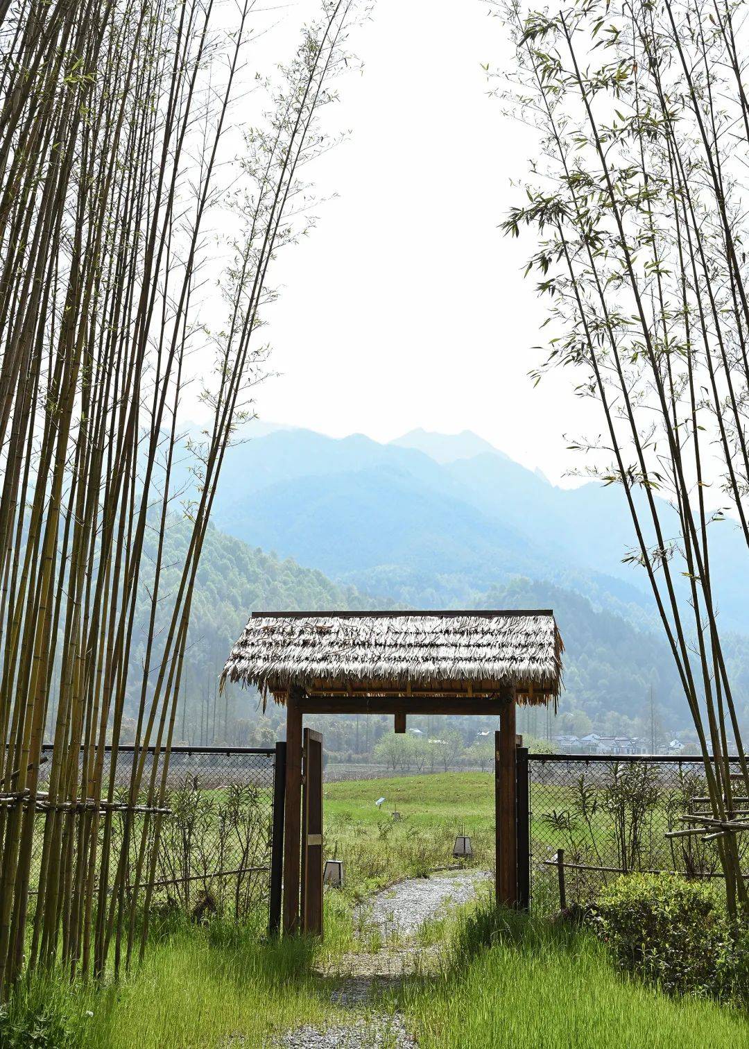 九华山莲花小镇 春色已满 许你一个诗意的春天~_水之岸_循青_云是