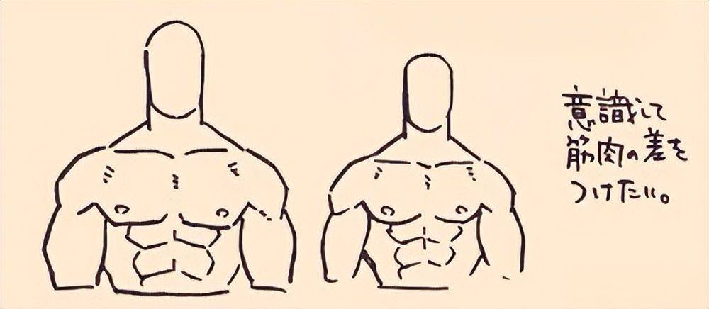 教你男生强壮肌肉的画法要点!