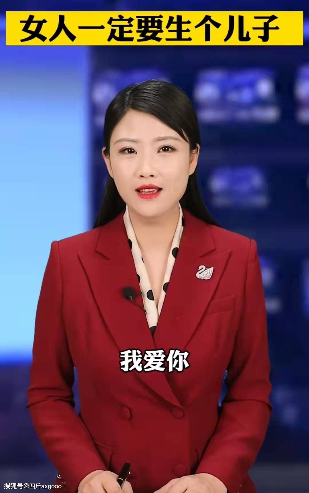 陕西新闻联播主持人图片