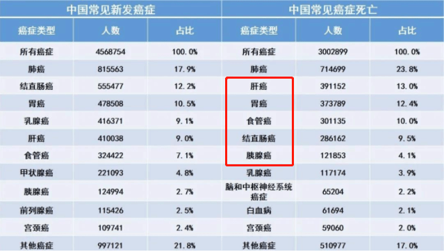 肺癌检查报告图片p图图片