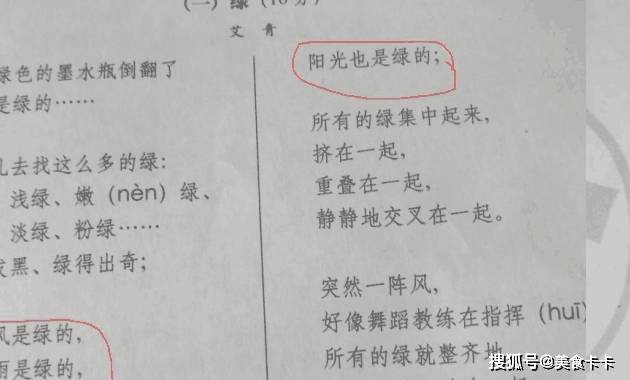 小学生搞笑写诗 揭露家庭问题 老师 什么鬼 原来家长是道系 孩子 爸爸 绿色