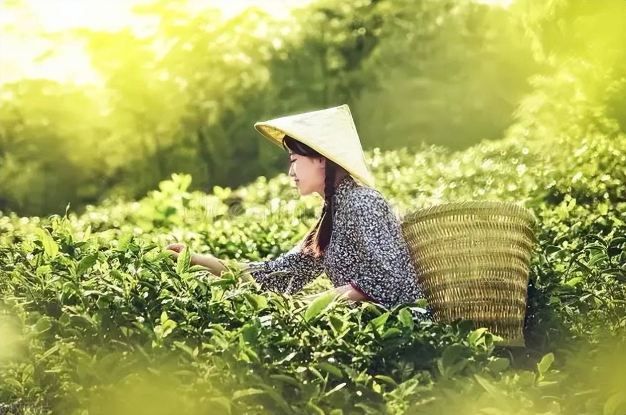 周嗣远 风掠山间峰岭过 菜花遍地野蜂狂 原创诗词30首 踏青 黔南州 细雨 周嗣远 风掠山间峰岭过 菜花遍地野蜂狂 原创诗词30首 踏青 黔南州 细雨