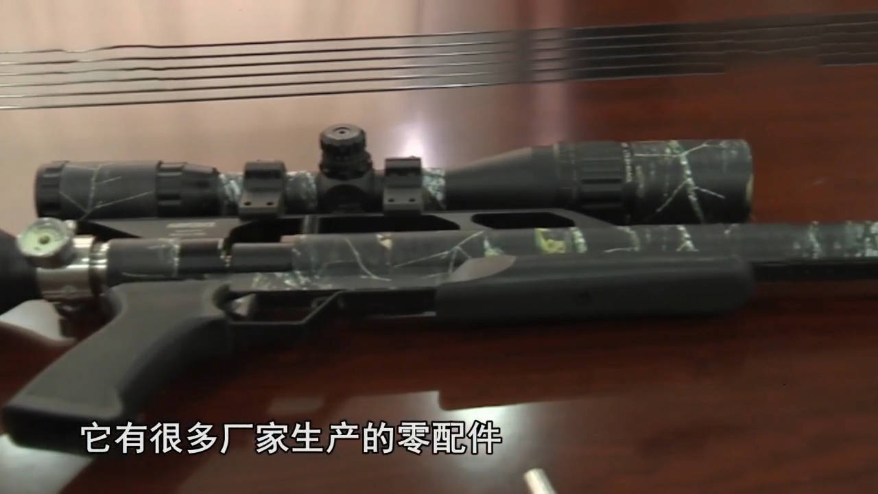 08江西特大贩枪网络覆灭记_小孙_和气枪_大哥