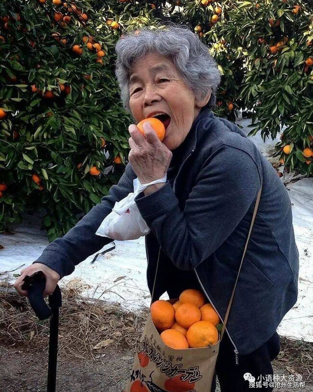 日本90岁老奶奶的奇葩自拍照_西本_摄影_作品