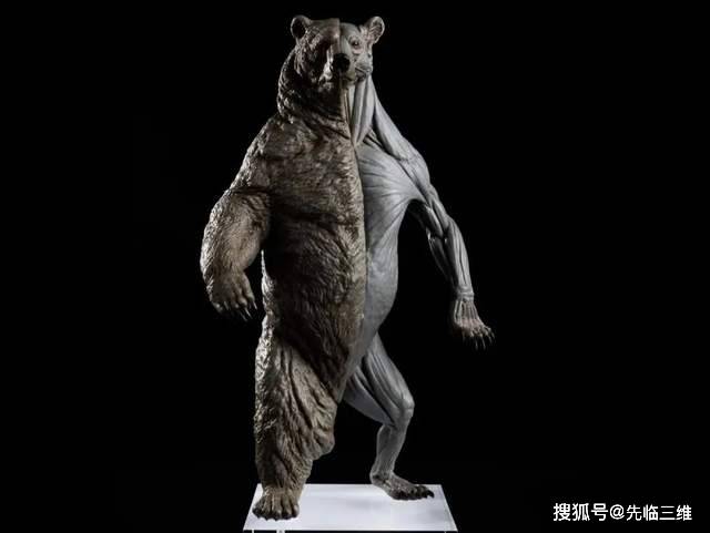 先临三维 x 非常博物馆 | 专业级三维扫描仪遇到动