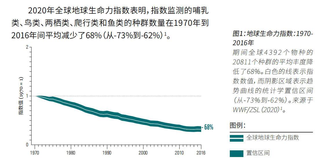 地球生命力图片