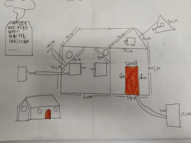 小小建筑师科学手抄报图片