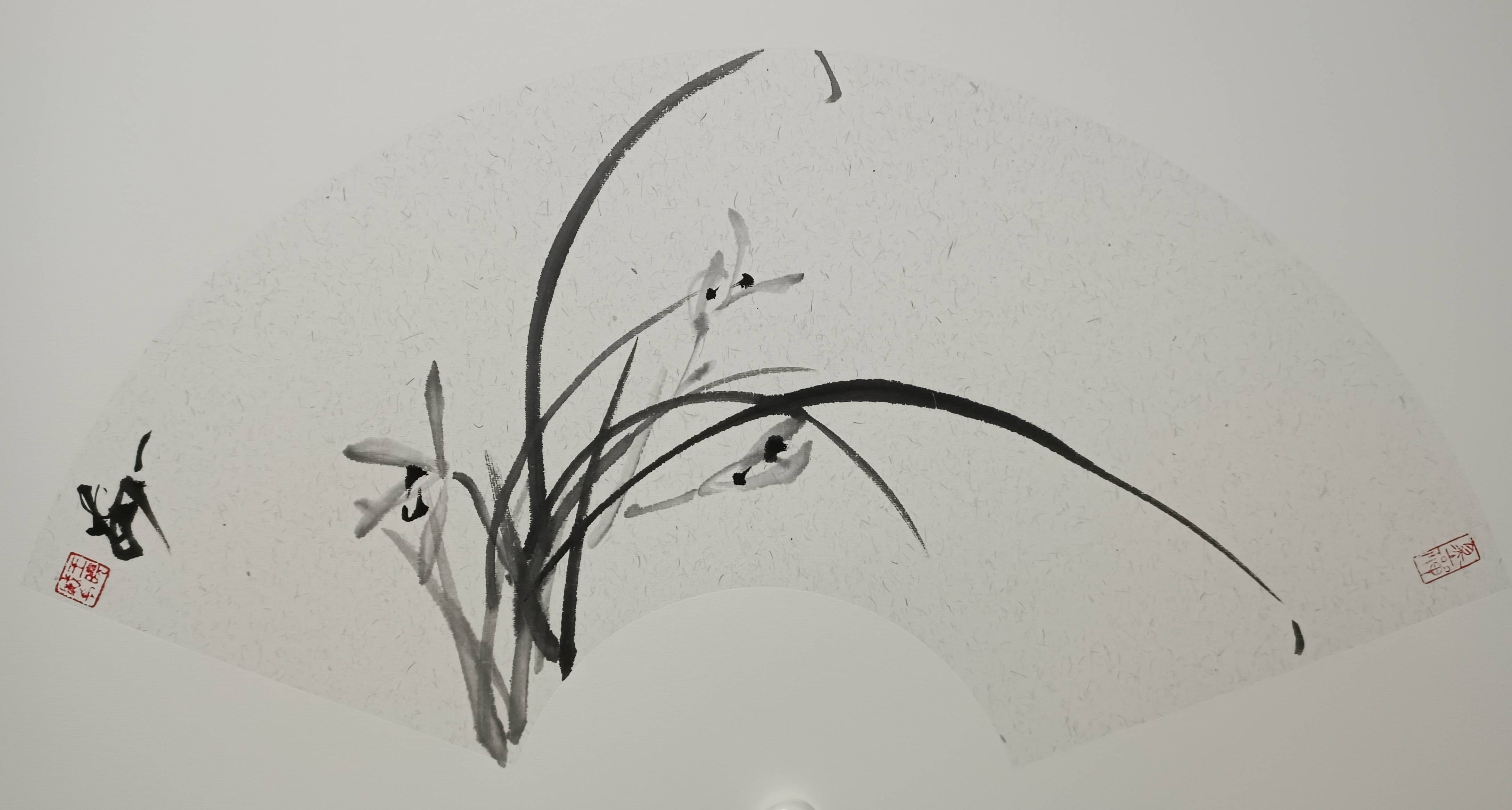 王晓威梅兰竹菊扇面水墨作品古典美_硕士_时装_扇面