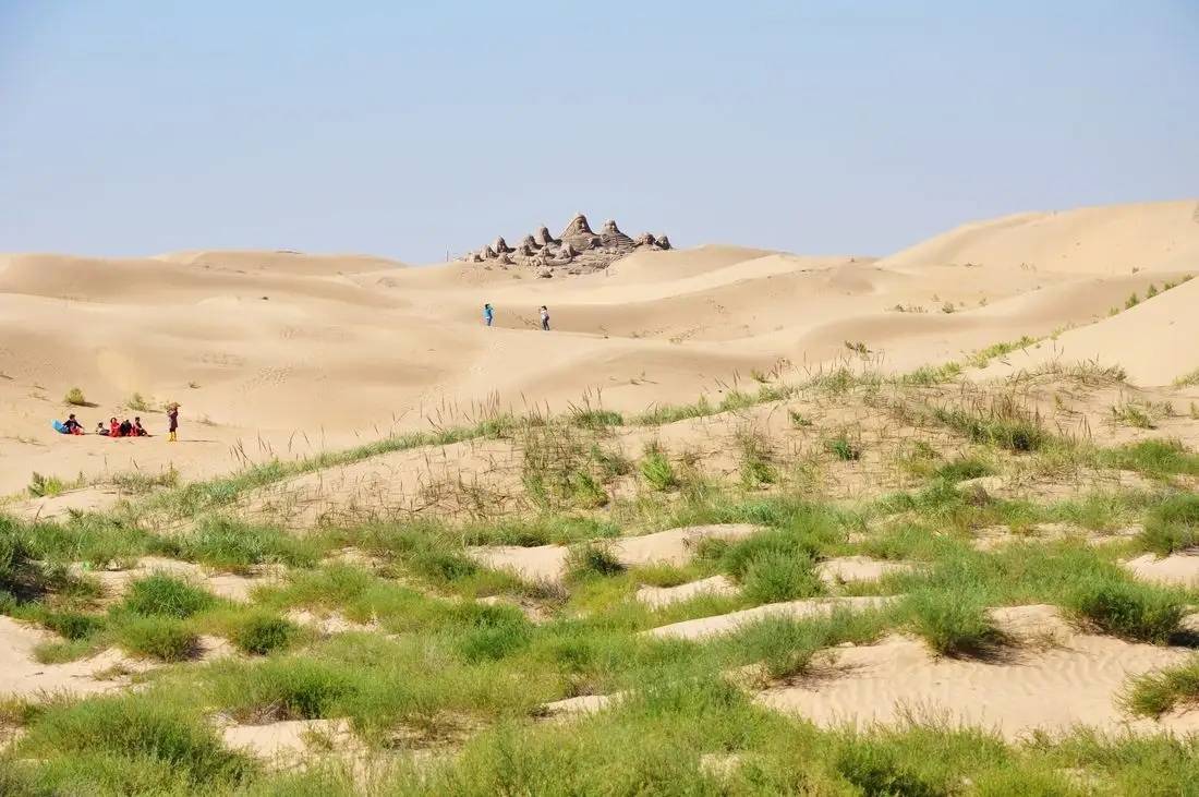 我国从荒漠变为绿洲的一处沙漠景观,植物自然生长_库布齐_旅游_社会