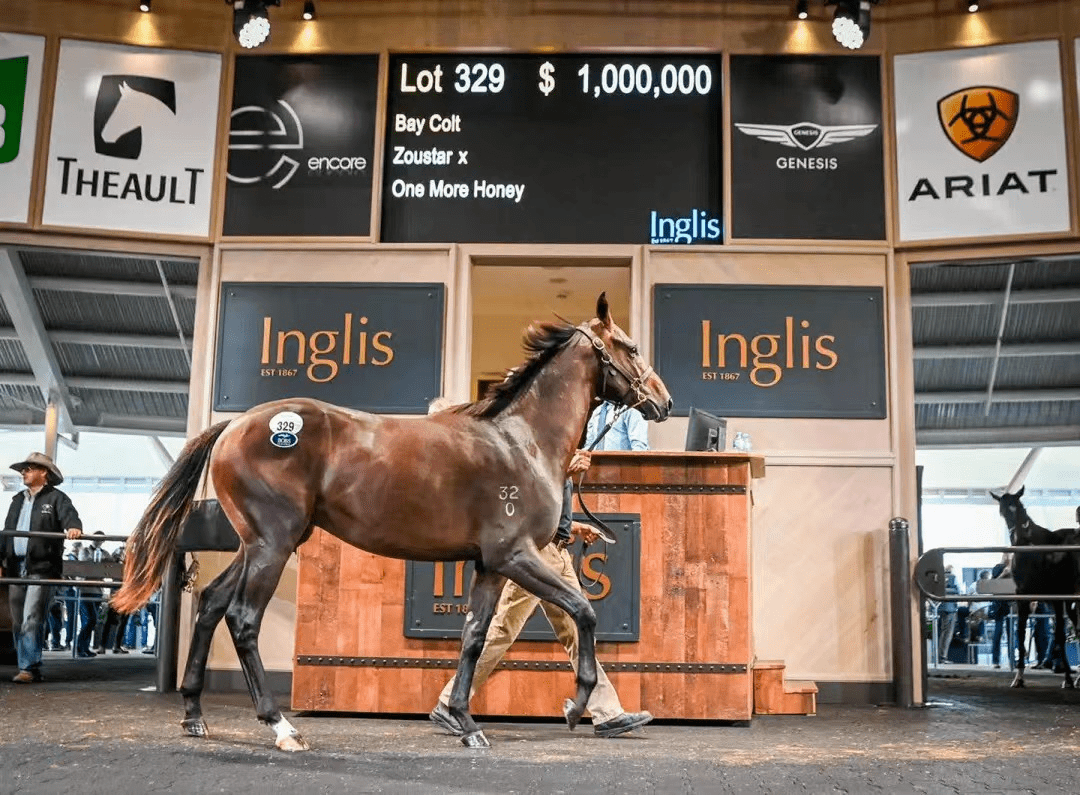 大陆马合作伙伴赛马邮报racingpost香港马会澳洲豪掷千万购马