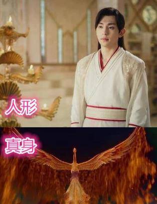 锦觅的真身,旭凤的真身,润玉的真身,都不及他的真身让人心动_仙人